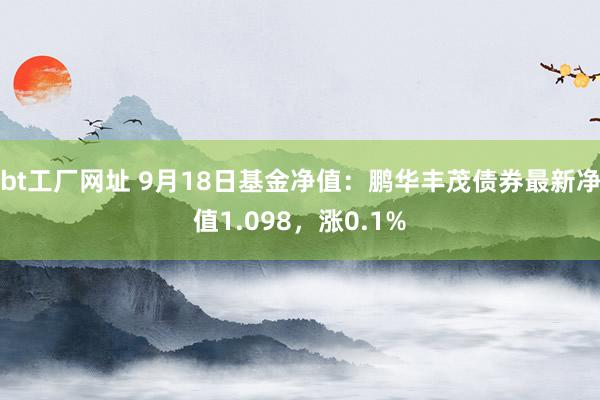 bt工厂网址 9月18日基金净值：鹏华丰茂债券最新净值1.098，涨0.1%