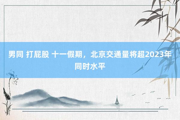 男同 打屁股 十一假期，北京交通量将超2023年同时水平
