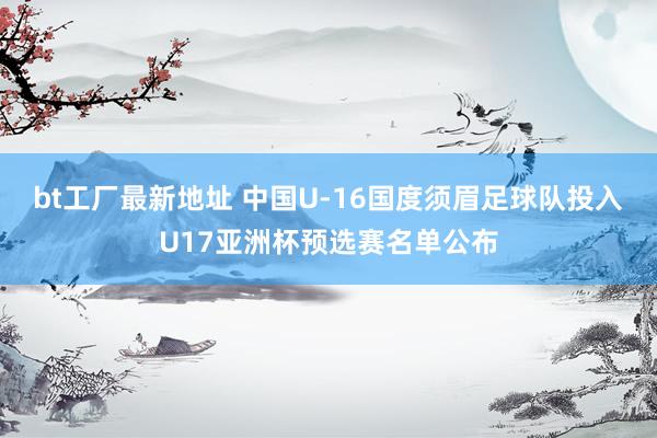 bt工厂最新地址 中国U-16国度须眉足球队投入U17亚洲杯预选赛名单公布