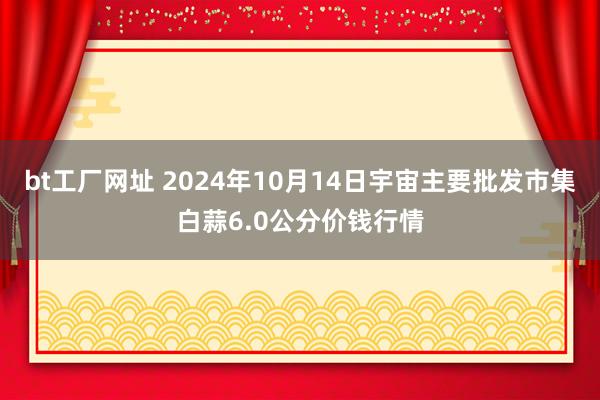 bt工厂网址 2024年10月14日宇宙主要批发市集白蒜6.0公分价钱行情