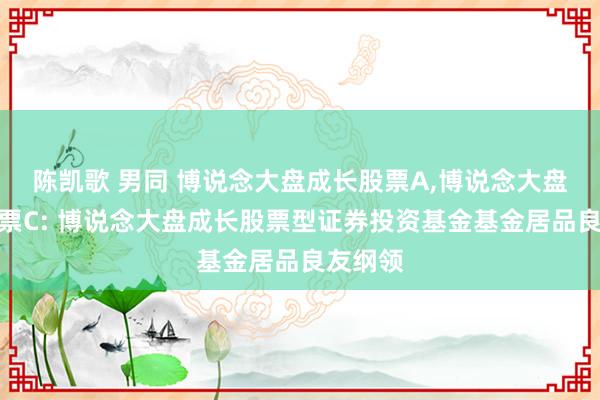 陈凯歌 男同 博说念大盘成长股票A,博说念大盘成长股票C: 博说念大盘成长股票型证券投资基金基金居品良友纲领