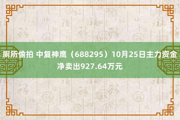 厕所偷拍 中复神鹰（688295）10月25日主力资金净卖出927.64万元