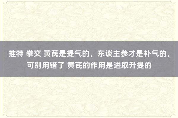 推特 拳交 黄芪是提气的,东谈主参才是补气的,可别用错了 黄芪的作用是进取升提的