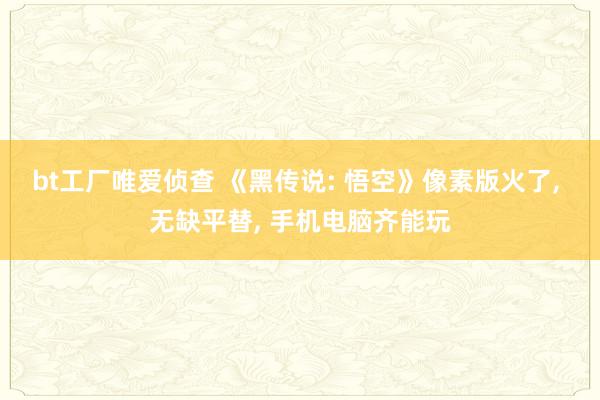 bt工厂唯爱侦查 《黑传说: 悟空》像素版火了， 无缺平替， 手机电脑齐能玩