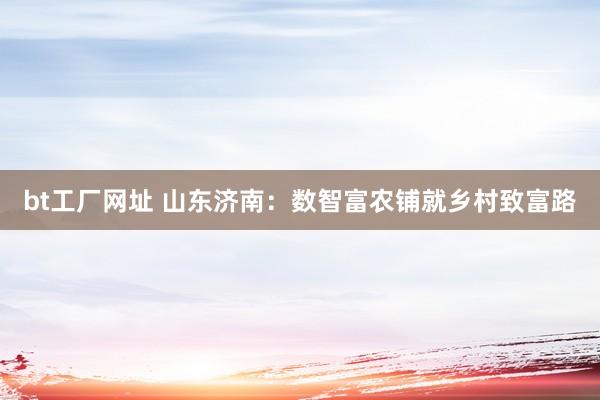 bt工厂网址 山东济南：数智富农铺就乡村致富路