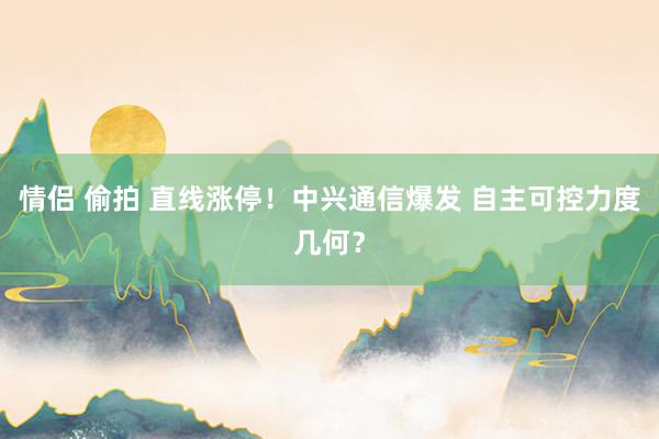 情侣 偷拍 直线涨停！中兴通信爆发 自主可控力度几何？