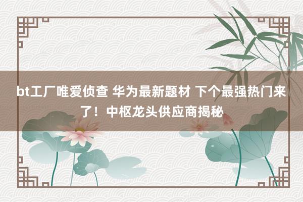 bt工厂唯爱侦查 华为最新题材 下个最强热门来了！中枢龙头供应商揭秘