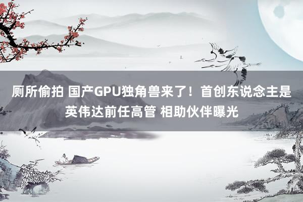 厕所偷拍 国产GPU独角兽来了！首创东说念主是英伟达前任高管 相助伙伴曝光