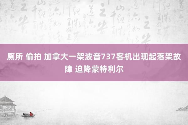 厕所 偷拍 加拿大一架波音737客机出现起落架故障 迫降蒙特利尔
