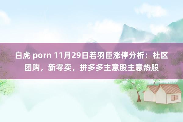 白虎 porn 11月29日若羽臣涨停分析：社区团购，新零卖，拼多多主意股主意热股