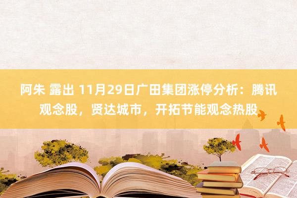 阿朱 露出 11月29日广田集团涨停分析：腾讯观念股，贤达城市，开拓节能观念热股