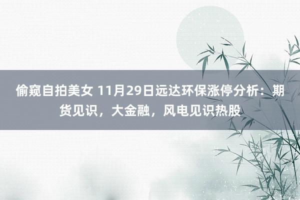 偷窥自拍美女 11月29日远达环保涨停分析：期货见识，大金融，风电见识热股