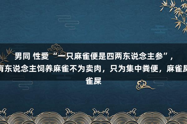 男同 性愛 “一只麻雀便是四两东说念主参”，有东说念主饲养麻雀不为卖肉，只为集中粪便，麻雀屎