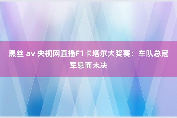 黑丝 av 央视网直播F1卡塔尔大奖赛：车队总冠军悬而未决