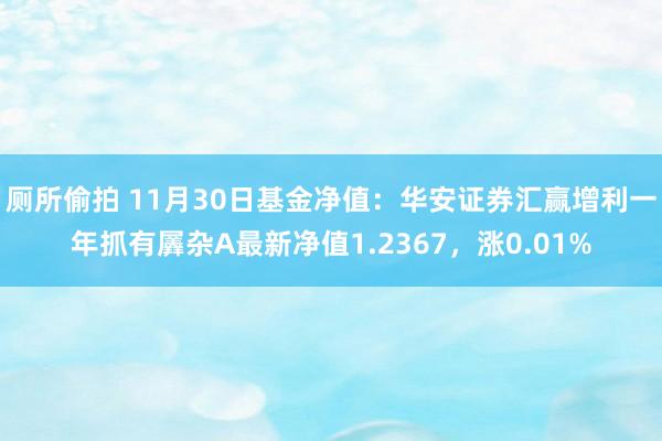 厕所偷拍 11月30日基金净值：华安证券汇赢增利一年抓有羼杂A最新净值1.2367，涨0.01%