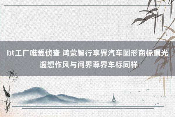 bt工厂唯爱侦查 鸿蒙智行享界汽车图形商标曝光 遐想作风与问界尊界车标同样