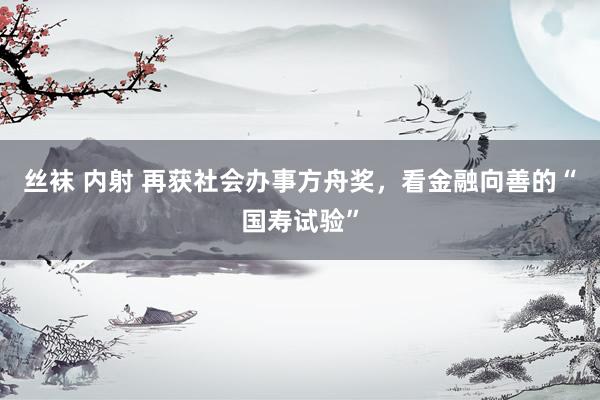 丝袜 内射 再获社会办事方舟奖，看金融向善的“国寿试验”