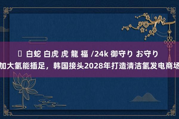 ✨白蛇 白虎 虎 龍 福 /24k 御守り お守り 加大氢能插足，韩国接头2028年打造清洁氢发电商场