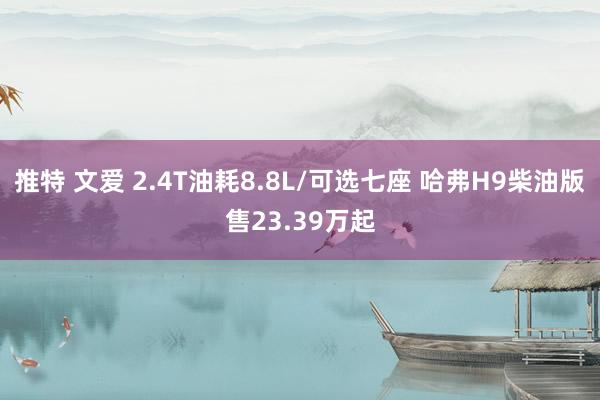 推特 文爱 2.4T油耗8.8L/可选七座 哈弗H9柴油版售23.39万起