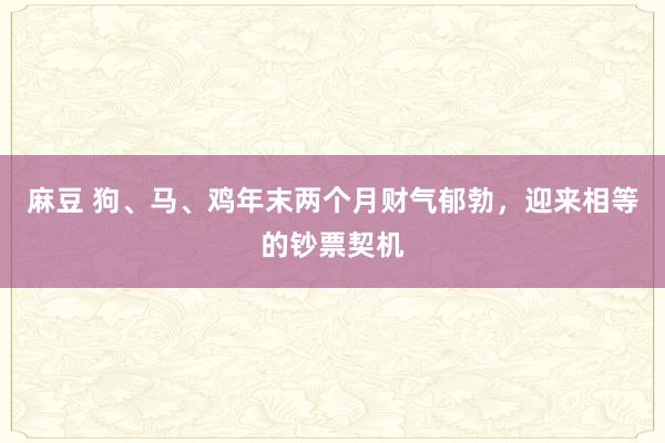 麻豆 狗、马、鸡年末两个月财气郁勃，迎来相等的钞票契机
