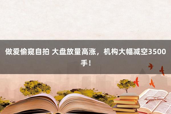 做爱偷窥自拍 大盘放量高涨，机构大幅减空3500手！