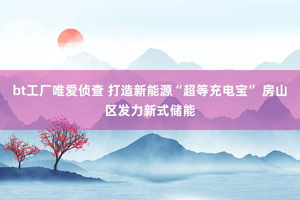 bt工厂唯爱侦查 打造新能源“超等充电宝” 房山区发力新式储能