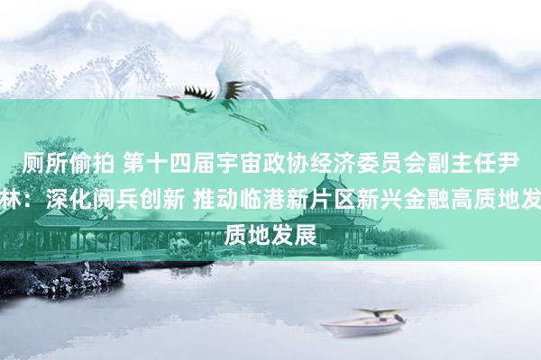 厕所偷拍 第十四届宇宙政协经济委员会副主任尹艳林：深化阅兵创新 推动临港新片区新兴金融高质地发展