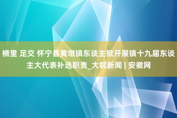 楠里 足交 怀宁县黄墩镇东谈主掀开展镇十九届东谈主大代表补选职责_大皖新闻 | 安徽网