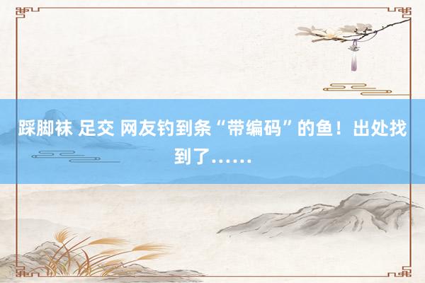 踩脚袜 足交 网友钓到条“带编码”的鱼！出处找到了……