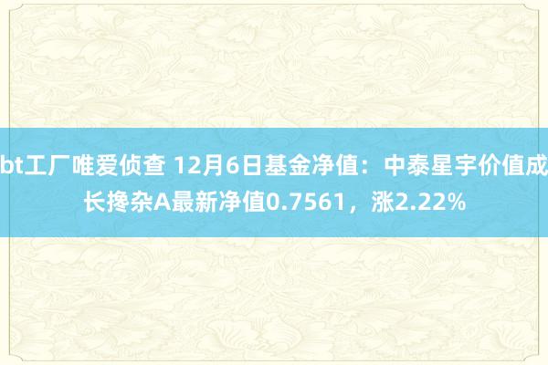 bt工厂唯爱侦查 12月6日基金净值：中泰星宇价值成长搀杂A最新净值0.7561，涨2.22%