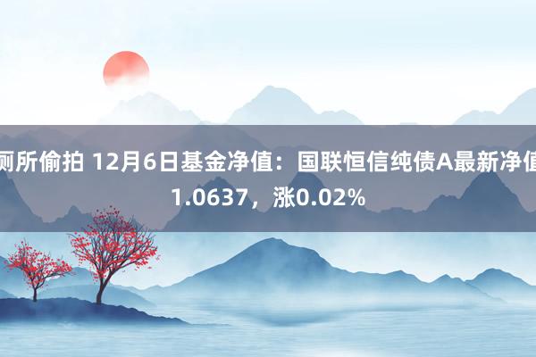 厕所偷拍 12月6日基金净值：国联恒信纯债A最新净值1.0637，涨0.02%