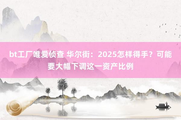 bt工厂唯爱侦查 华尔街：2025怎样得手？可能要大幅下调这一资产比例