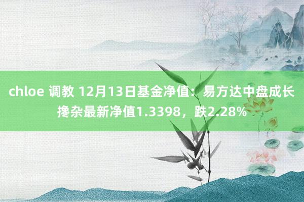 chloe 调教 12月13日基金净值：易方达中盘成长搀杂最新净值1.3398，跌2.28%