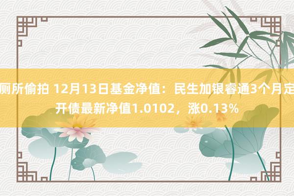 厕所偷拍 12月13日基金净值：民生加银睿通3个月定开债最新净值1.0102，涨0.13%