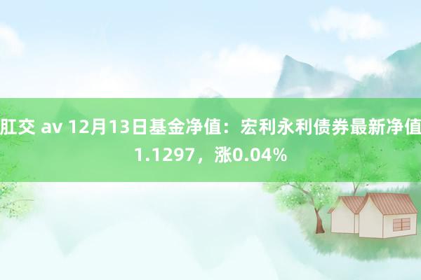肛交 av 12月13日基金净值：宏利永利债券最新净值1.1297，涨0.04%