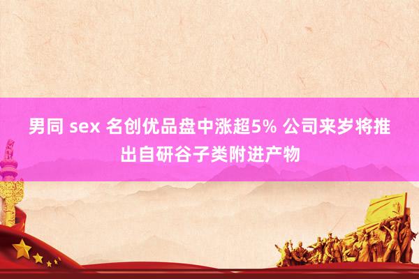 男同 sex 名创优品盘中涨超5% 公司来岁将推出自研谷子类附进产物