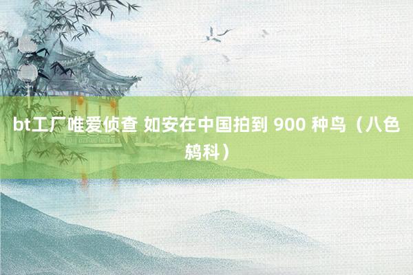 bt工厂唯爱侦查 如安在中国拍到 900 种鸟（八色鸫科）