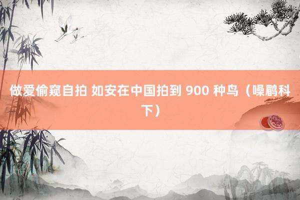 做爱偷窥自拍 如安在中国拍到 900 种鸟（噪鹛科下）