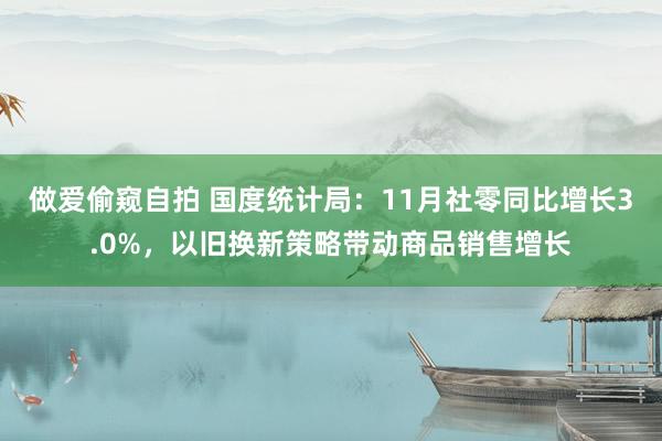 做爱偷窥自拍 国度统计局：11月社零同比增长3.0%，以旧换新策略带动商品销售增长