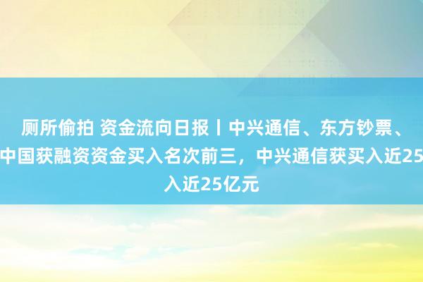 厕所偷拍 资金流向日报丨中兴通信、东方钞票、视觉中国获融资资金买入名次前三，中兴通信获买入近25亿元