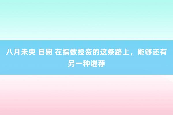 八月未央 自慰 在指数投资的这条路上，能够还有另一种遴荐