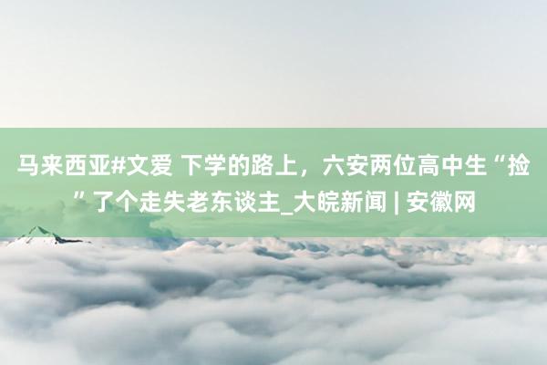 马来西亚#文爱 下学的路上，﻿六安两位高中生“捡”了个走失老东谈主_大皖新闻 | 安徽网