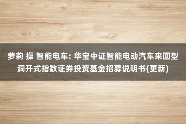 萝莉 操 智能电车: 华宝中证智能电动汽车来回型洞开式指数证券投资基金招募说明书(更新)