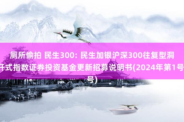 厕所偷拍 民生300: 民生加银沪深300往复型洞开式指数证券投资基金更新招募说明书(2024年第1号)
