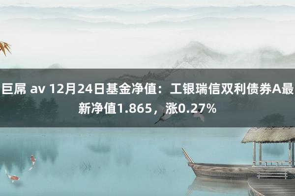 巨屌 av 12月24日基金净值：工银瑞信双利债券A最新净值1.865，涨0.27%
