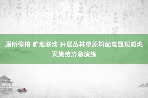 厕所偷拍 旷地联动 开展丛林草原输配电显现防熄灭集结济急演练