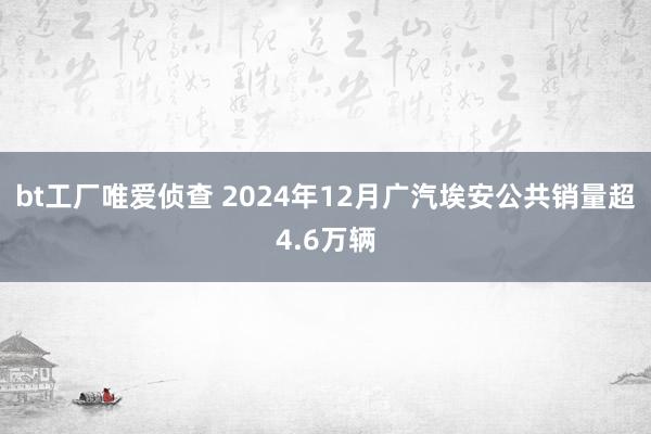 bt工厂唯爱侦查 2024年12月广汽埃安公共销量超4.6万辆
