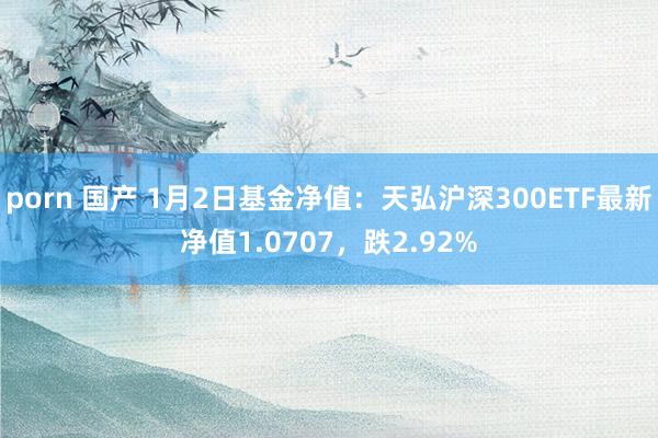 porn 国产 1月2日基金净值：天弘沪深300ETF最新净值1.0707，跌2.92%