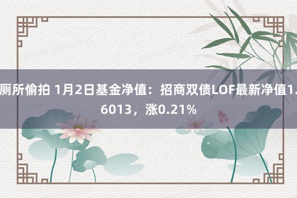 厕所偷拍 1月2日基金净值：招商双债LOF最新净值1.6013，涨0.21%