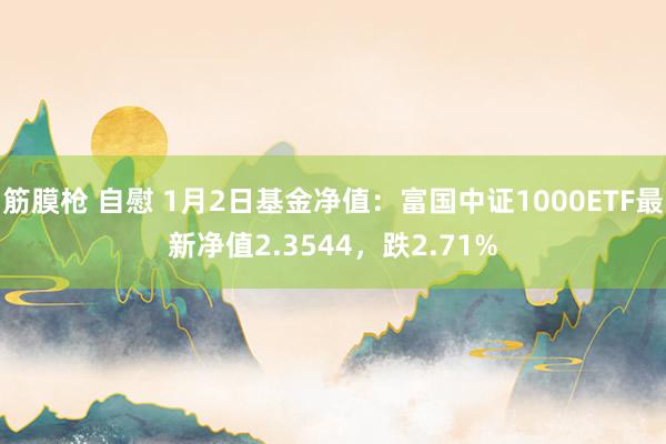 筋膜枪 自慰 1月2日基金净值：富国中证1000ETF最新净值2.3544，跌2.71%